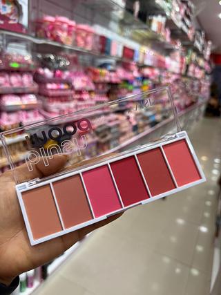 Paleta de blush mood 6 cores yvisi
