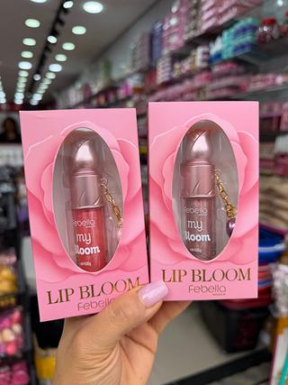 Gloss febella